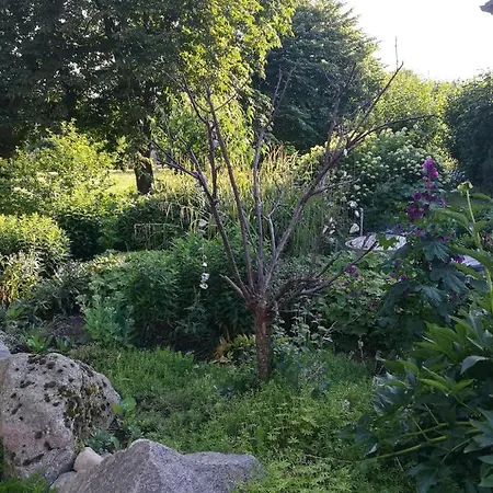 Lejlighed Ferienwohnung Ostseeluft - Laendliche Idylle Und Der Ostsee So Nah